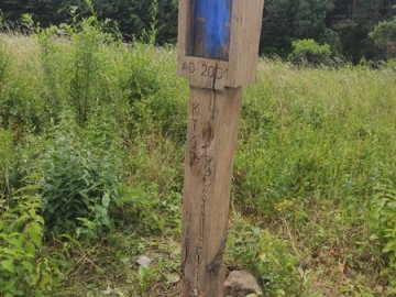 Letnie działania w Przedborskim Parku Krajobrazowym 2025, 